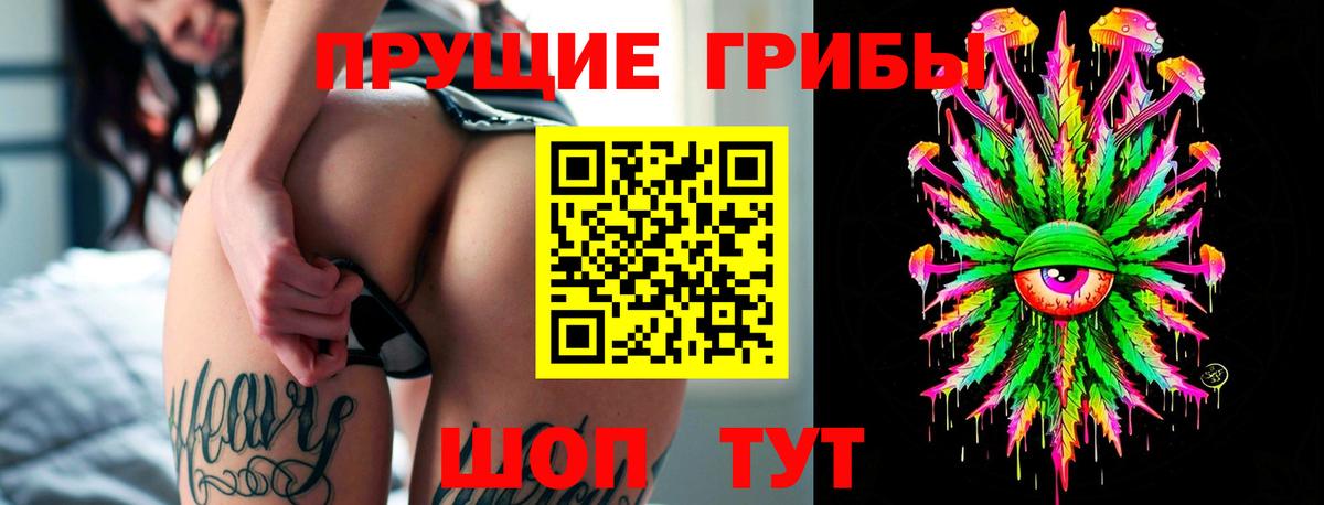 Псилоцибиновые грибы GOLDEN TEACHER  Вход с VPN  Псилоцибиновые грибы прущие грибы  Кулебаки 