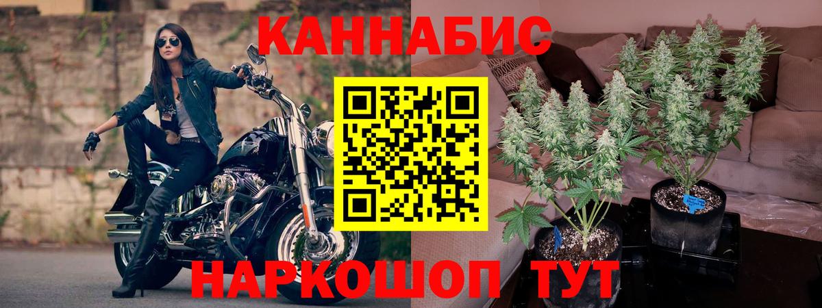 Каннабис планчик  Шишки марихуана MAZAR  Вход с VPN  Кулебаки  МАРИХУАНА гибрид 